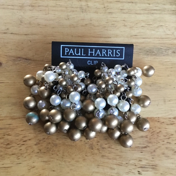 Clip On Earrings - Picture 1 of 1